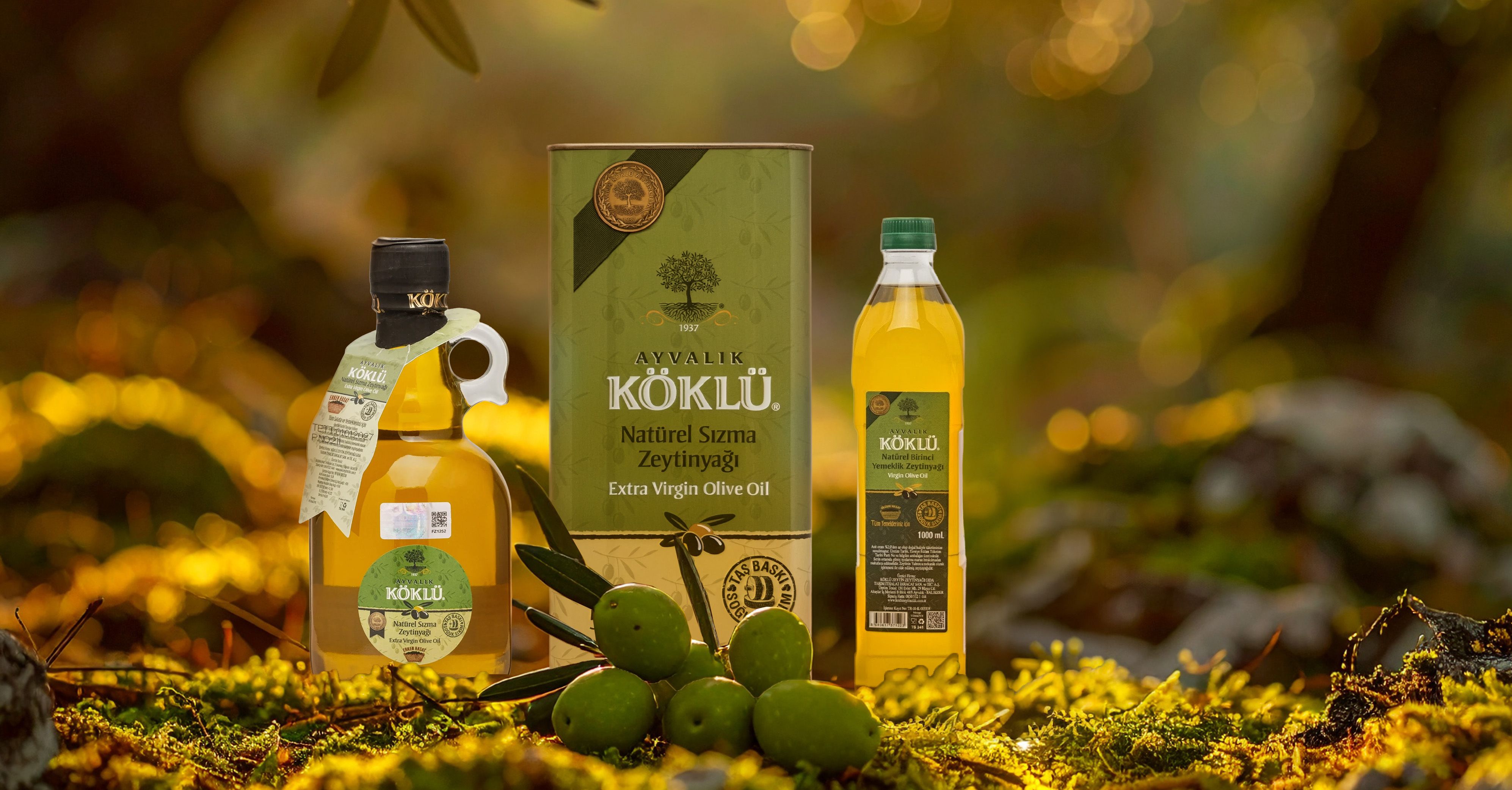 BAHAR TAZELİĞİ MUTFAKTAN BAŞLAR: KÖKLÜ ZEYTİNCİLİK’TEN YÜKSEK POLİFENOLLÜ ZEYTİNYAĞI